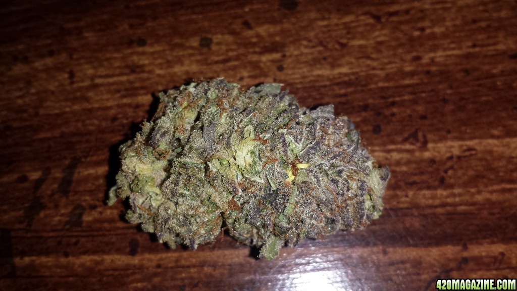 Girl Scout Cookies