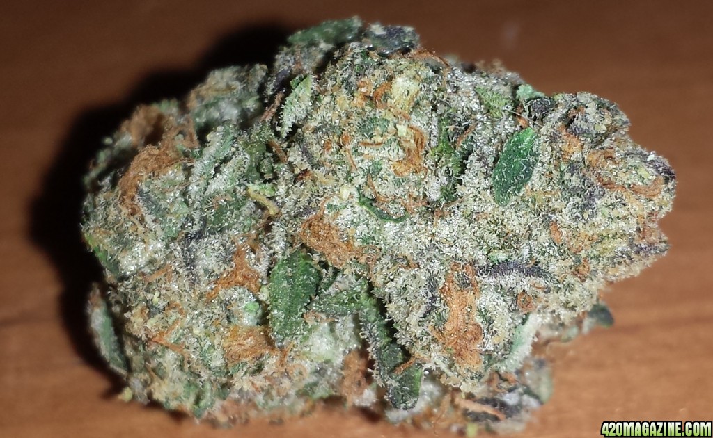 Girl Scout Cookies