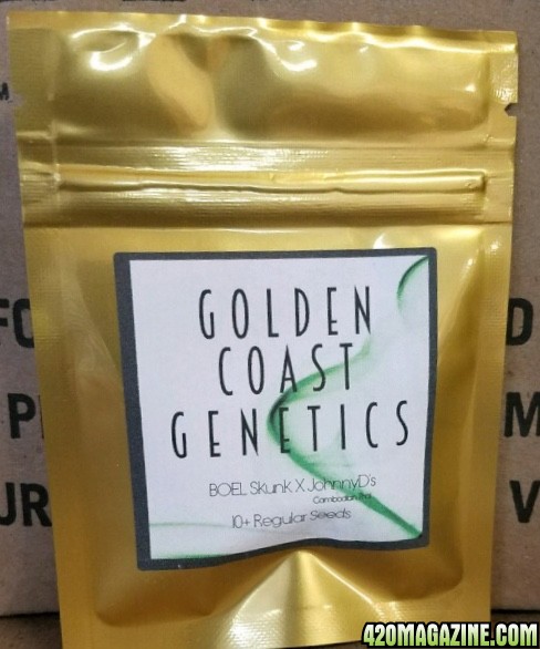 Golden Coast Genetics