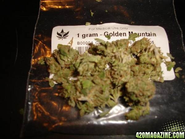 Golden Mountain