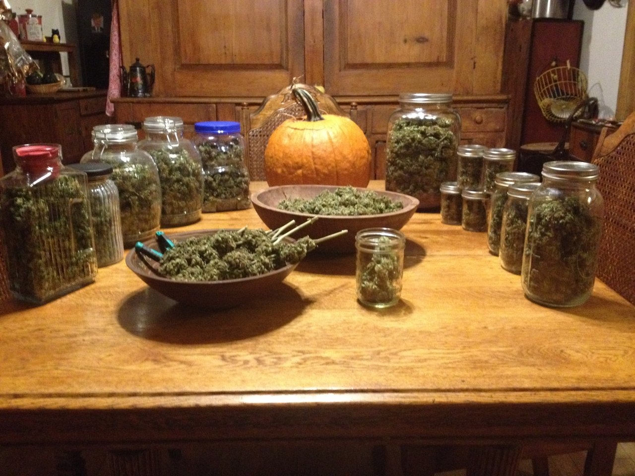 Good old fashioned home grown marijuana!