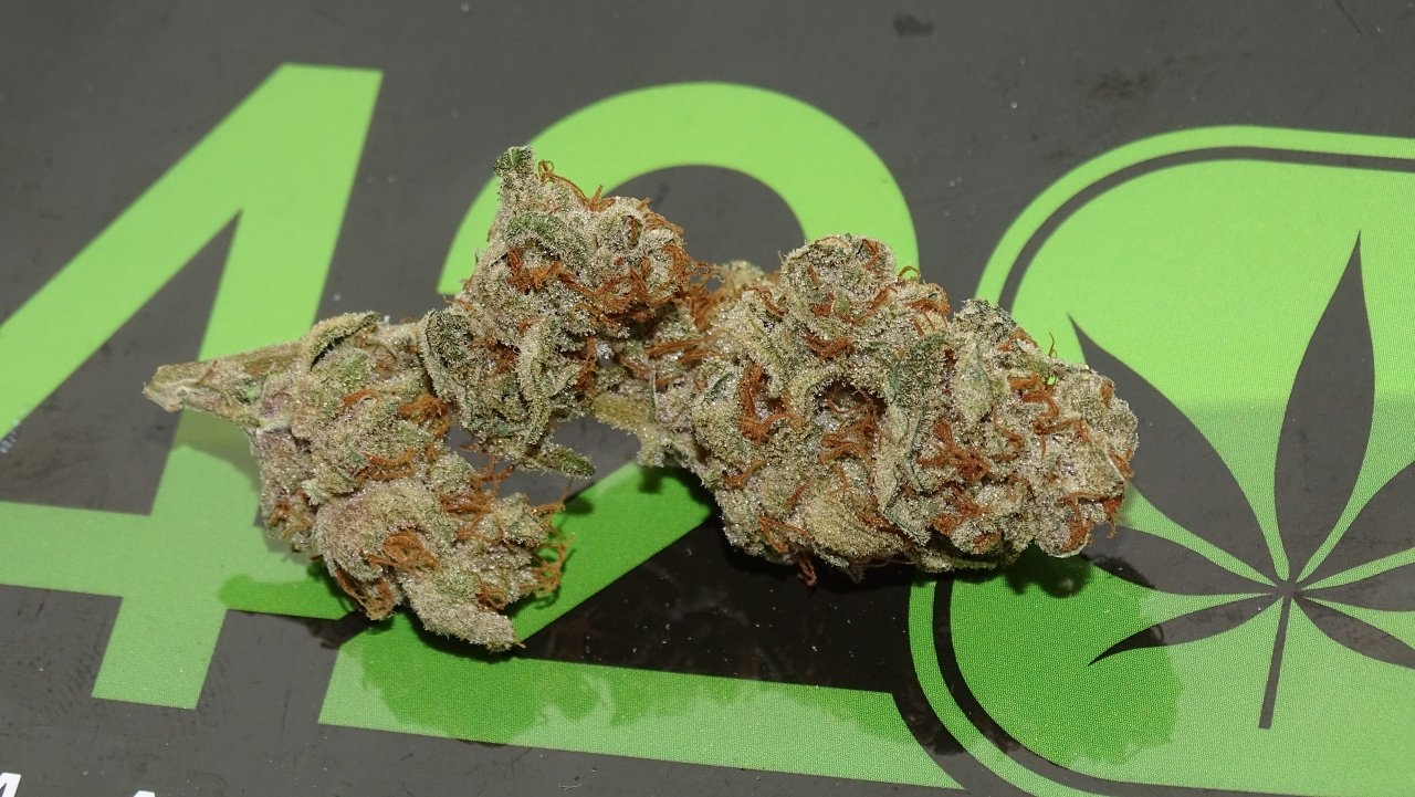 Gorilla Zkittles