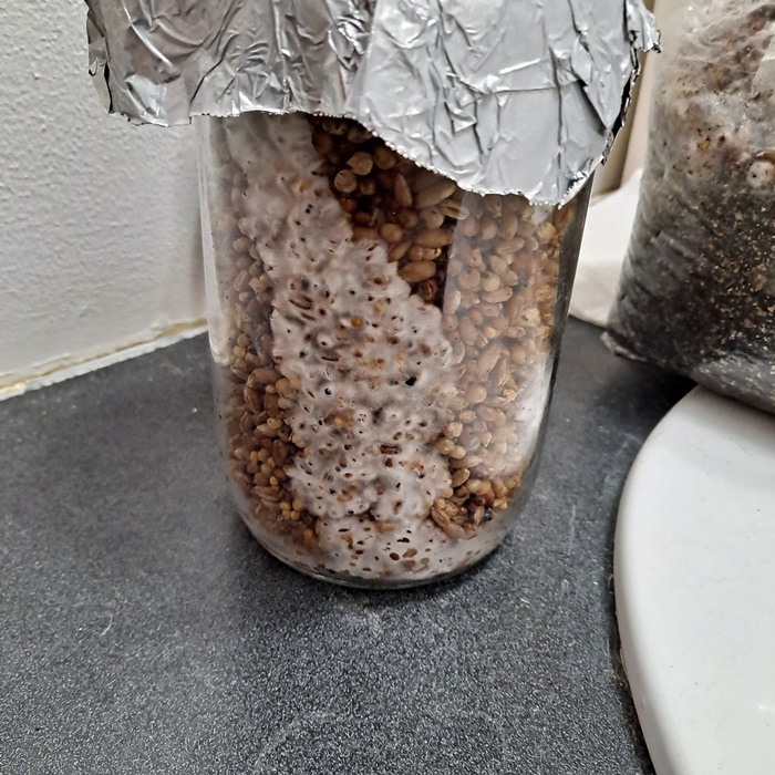 Grain Jar 01-08a.jpg