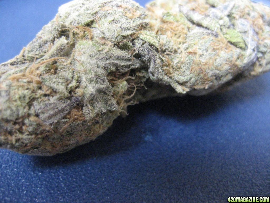 grand daddy purple