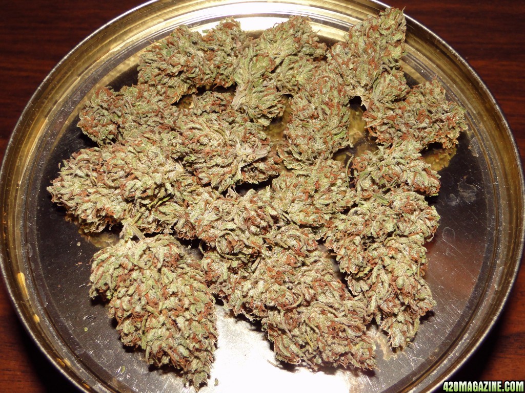 Grand_Daddy_Purple_x_O_G_Kush_Nuggets