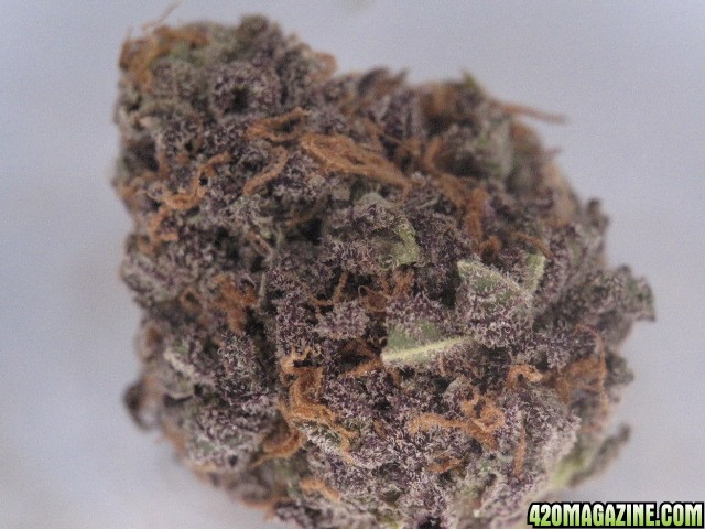 Grape Ape