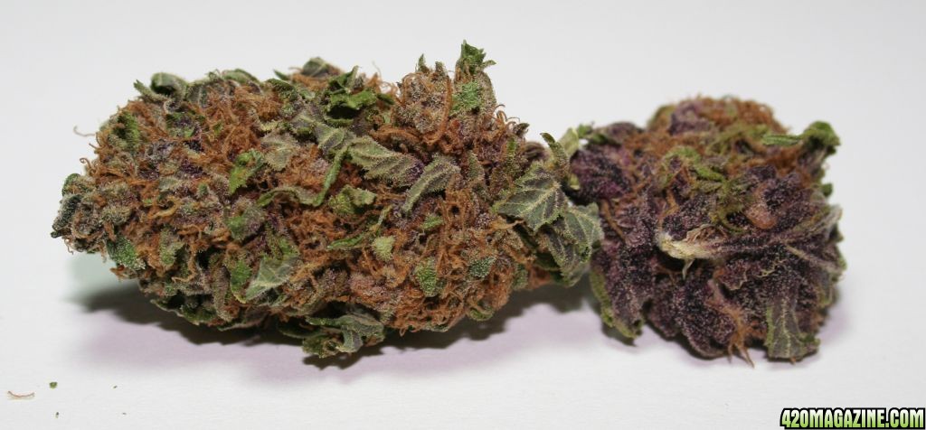 Grape Ape