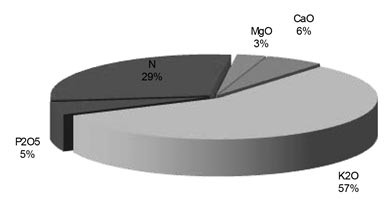 graph-2.jpg