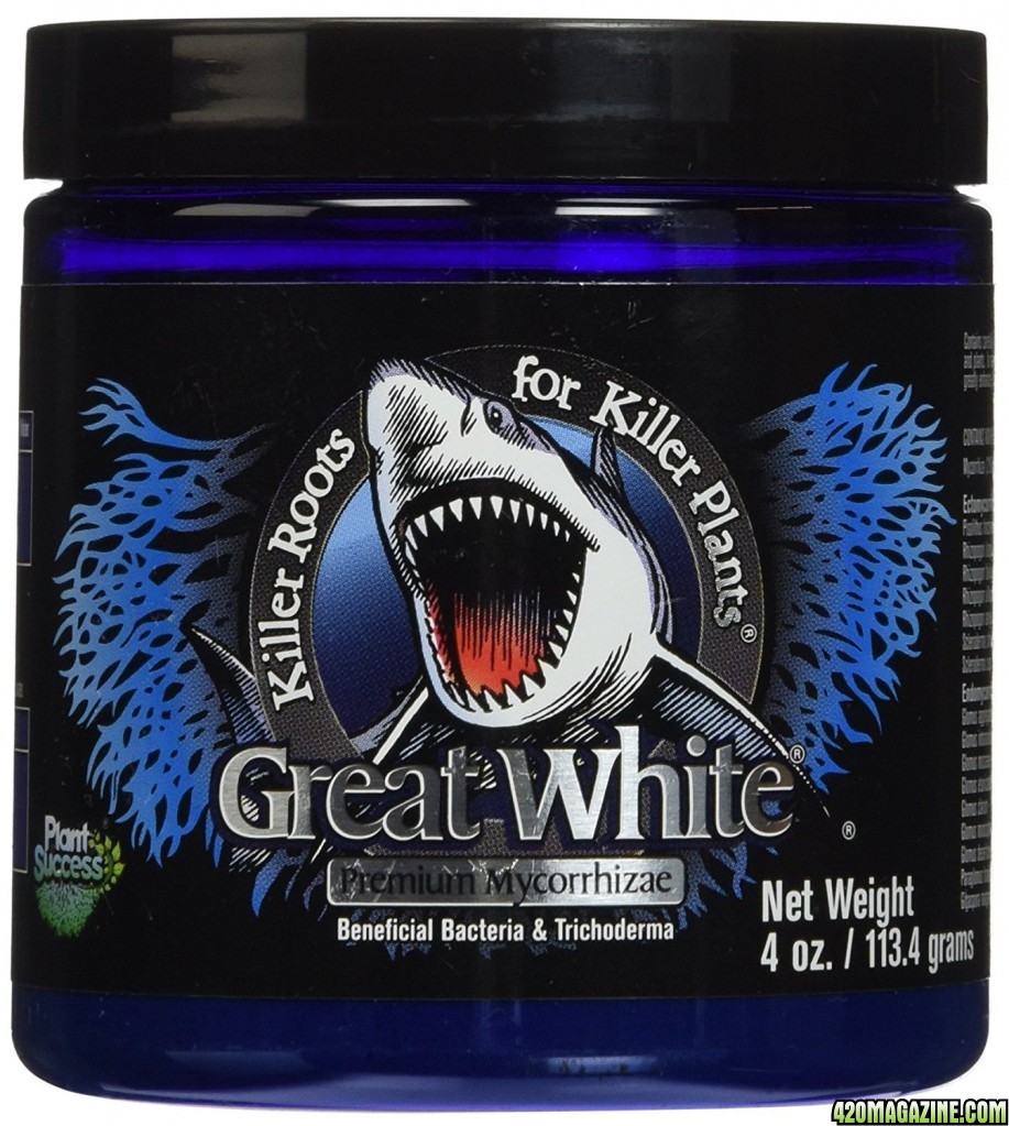 Great White Mycorrhizae