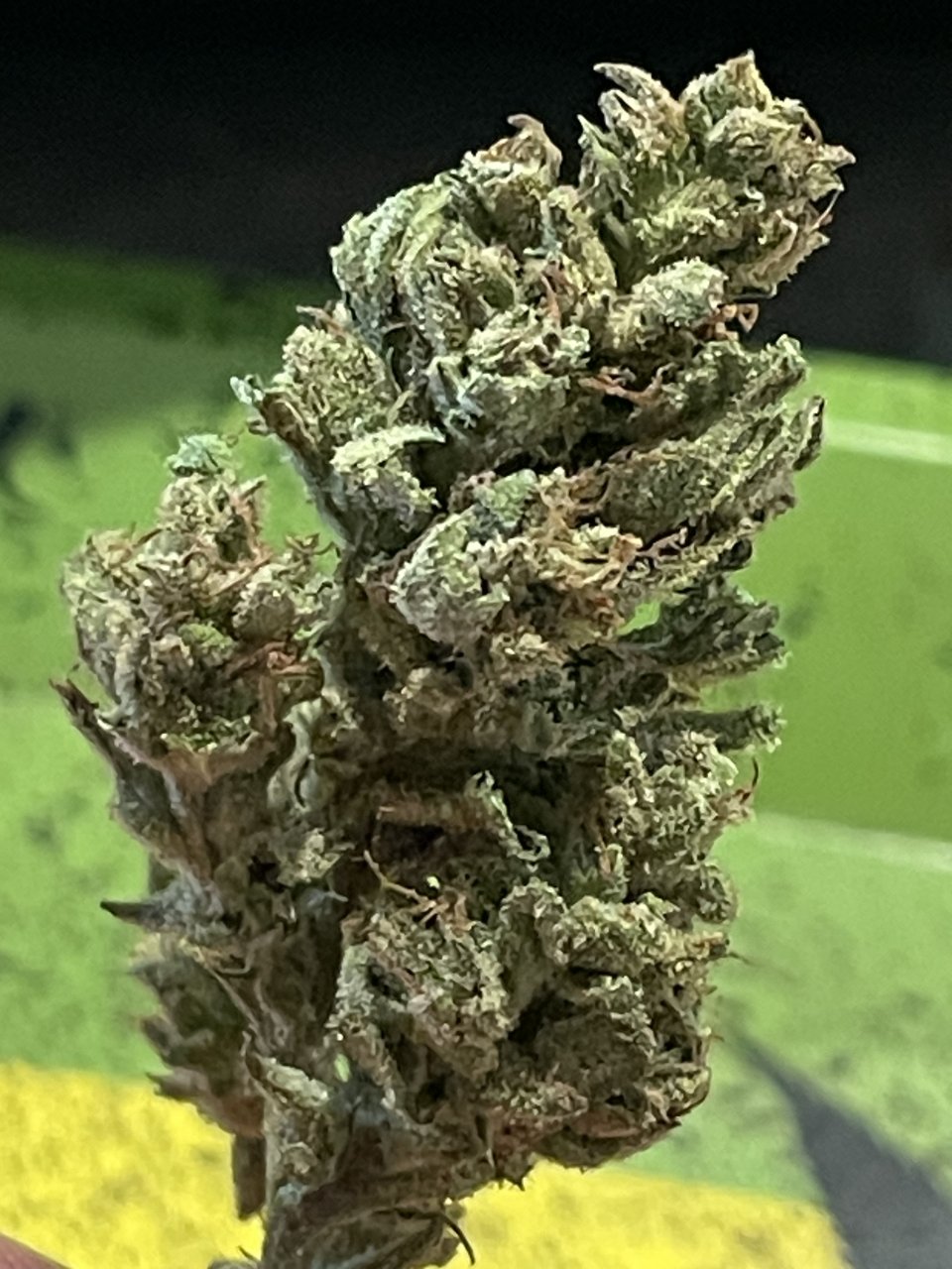 Green Crack Auto.jpeg