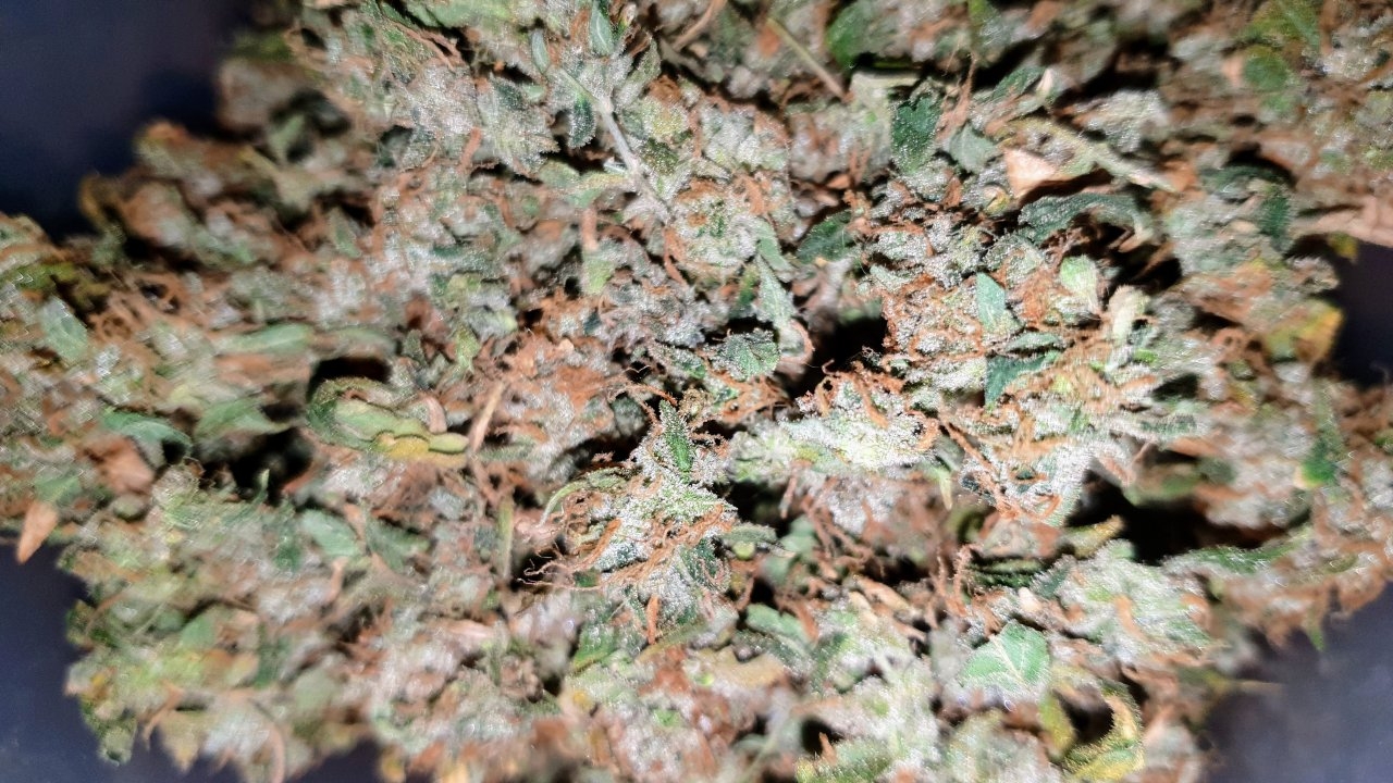 Green crack closer view