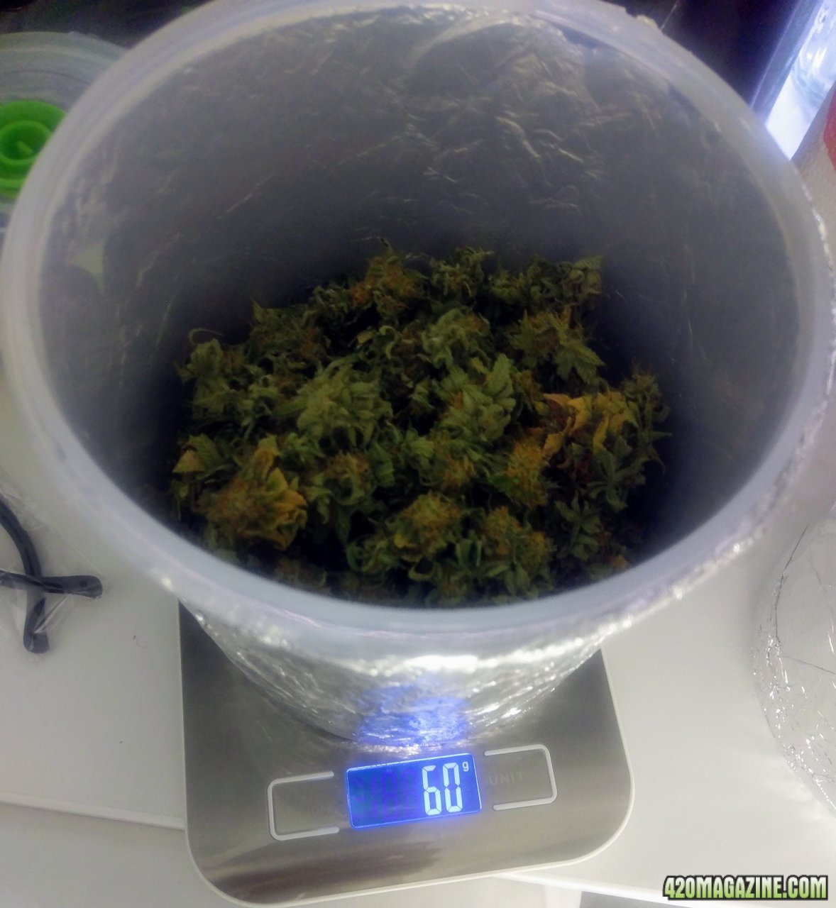 Green crack dry weight