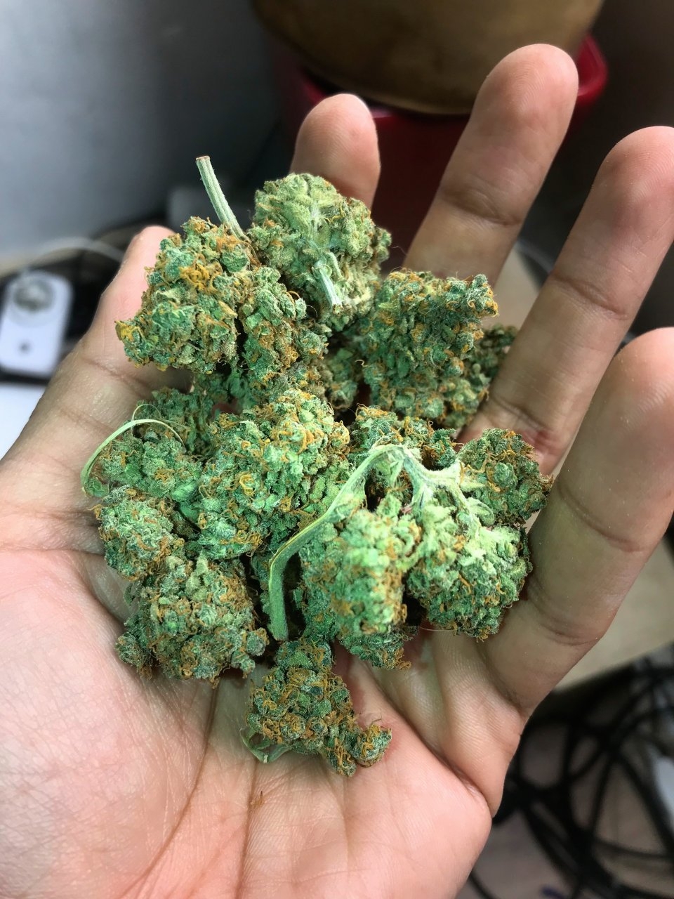 Green crack harvested