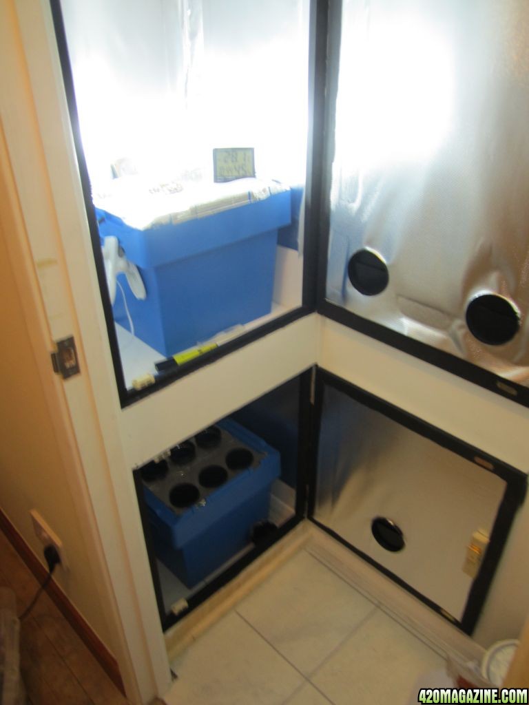 Green Knight Grow Cupboard