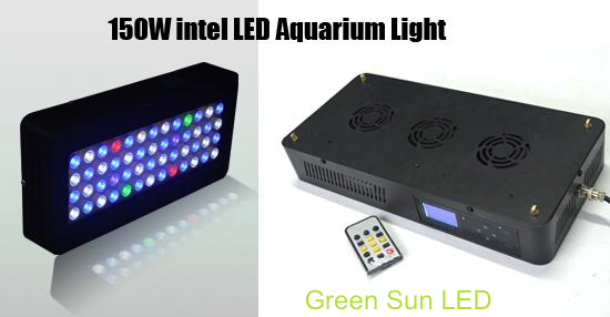 Green Sun LED Logo