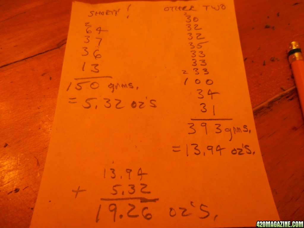 green_Crack_final_weights_026