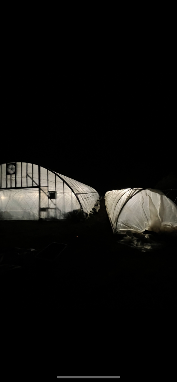 Greenhouse and bed 24