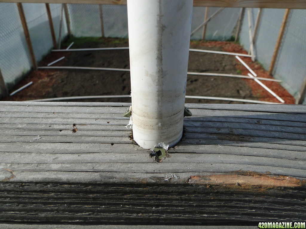 Greenhouse Construction Photos