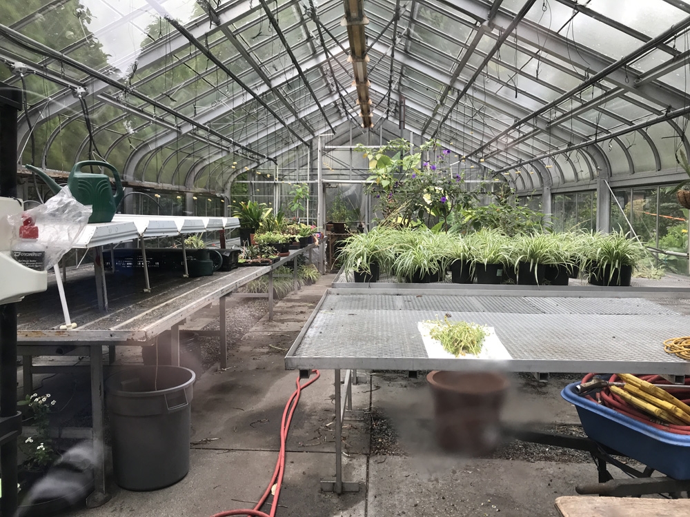 Greenhouse