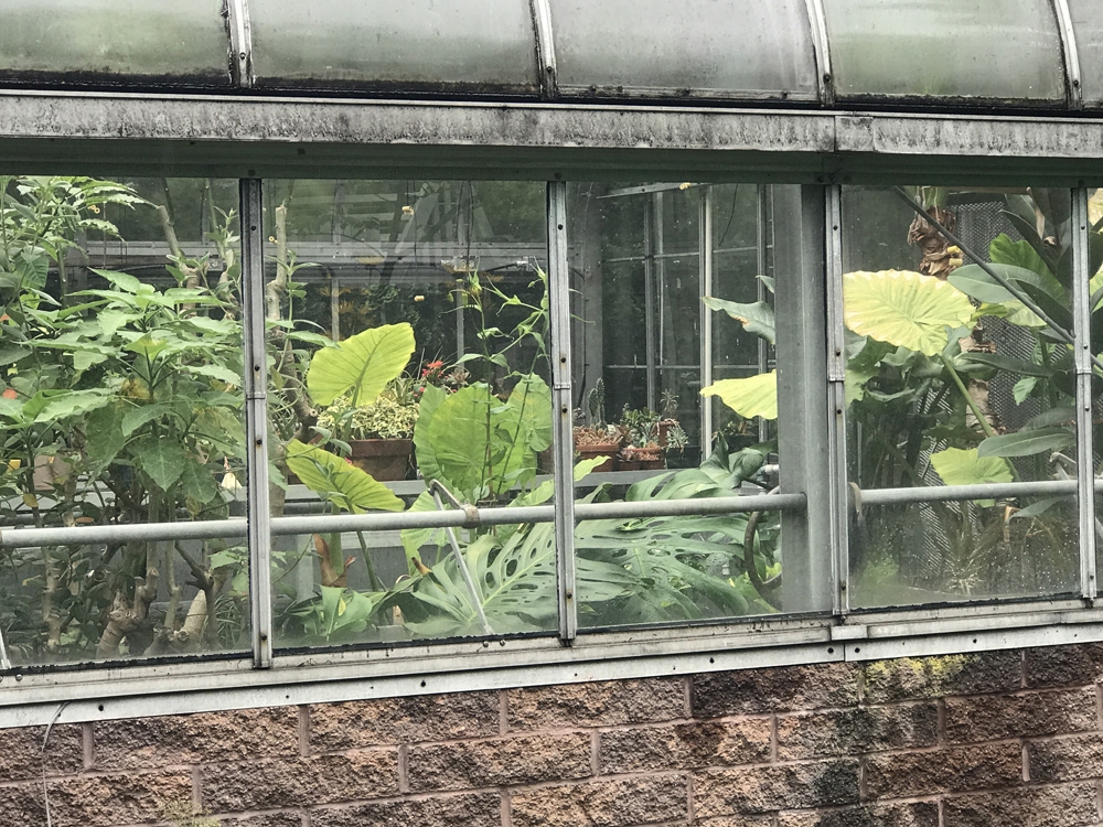 Greenhouse