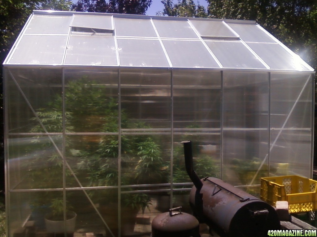 Greenhouse