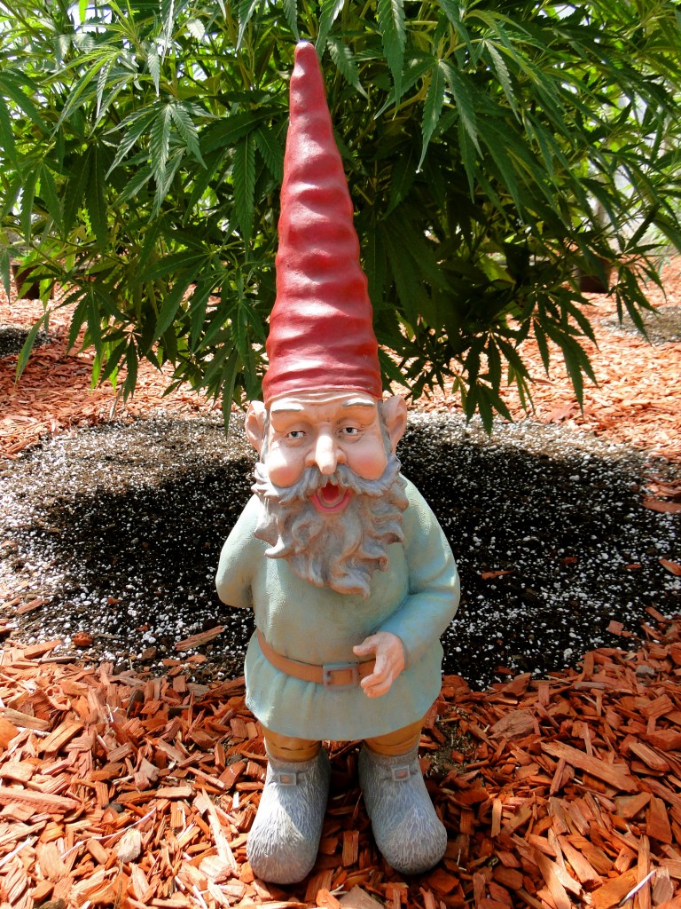 Grimmbel Garden Gnome