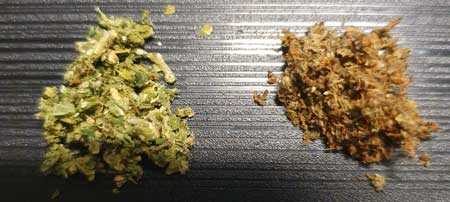 ground-pgr-bud-vs-natural-bud-sm.jpg