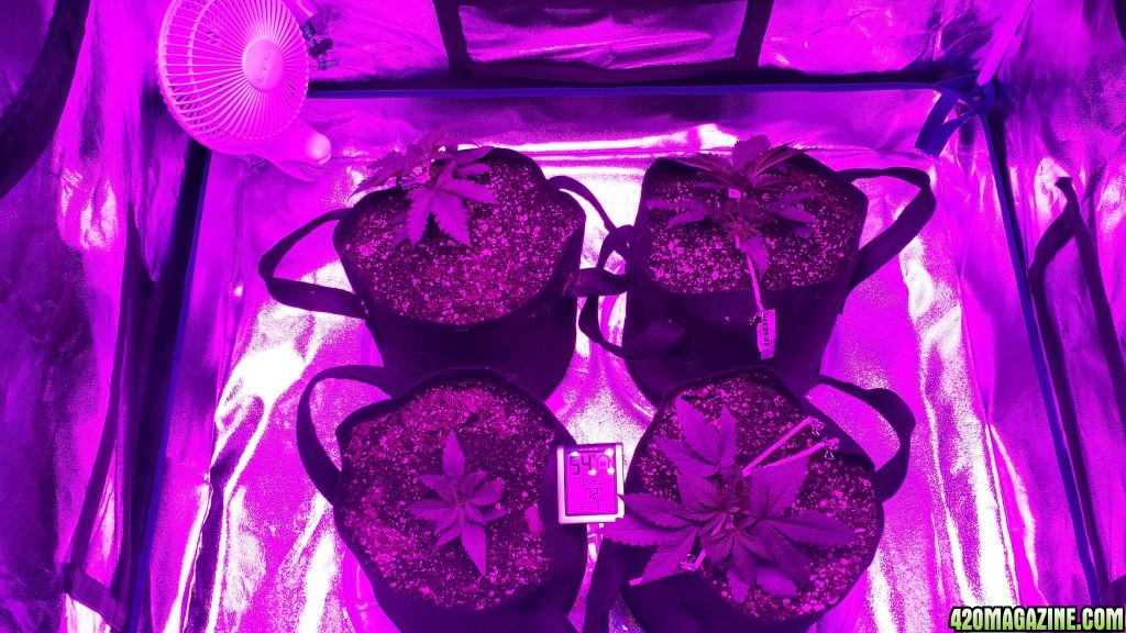 group shot after lst