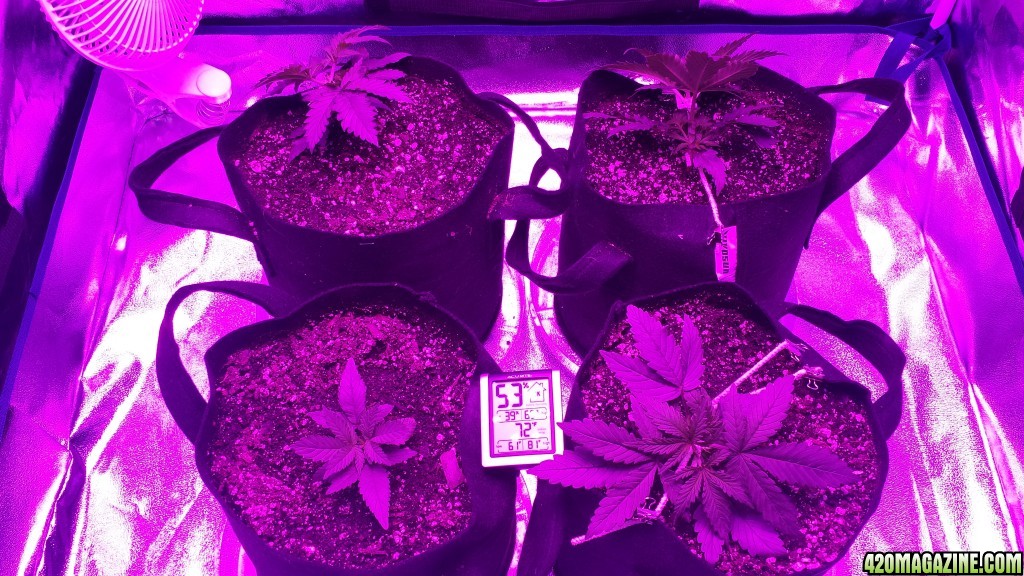 group shot right after LST