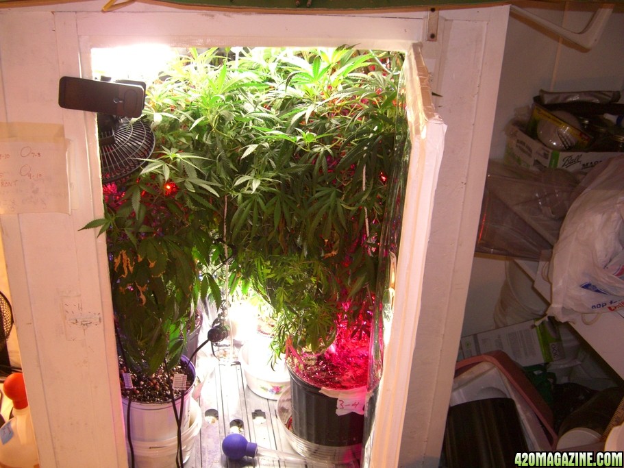 Grow Box 1 too small