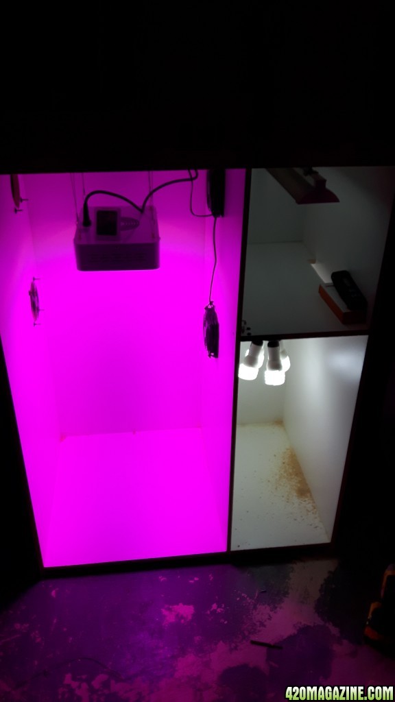 grow box build so far