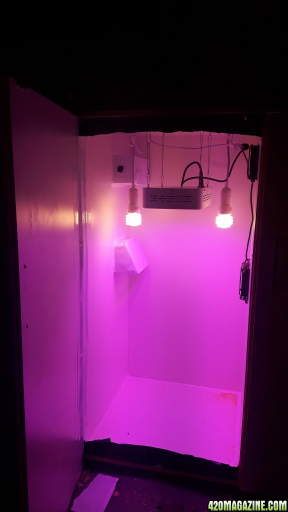 grow box build so far