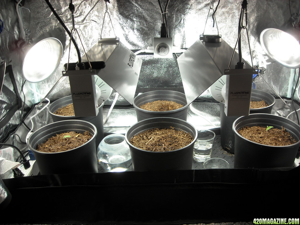 Grow Box Infrastucture