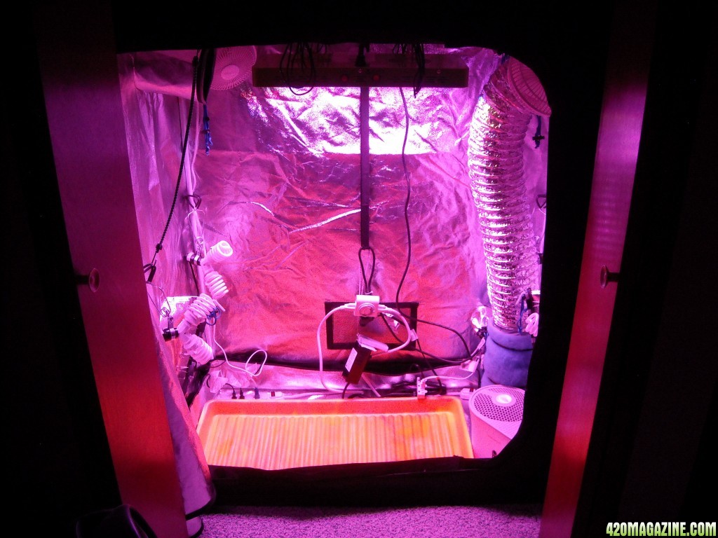 Grow Box Setup - Growth Mode