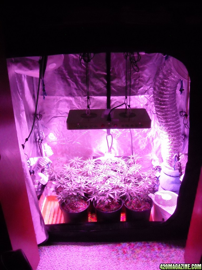 Grow Box with LEDs