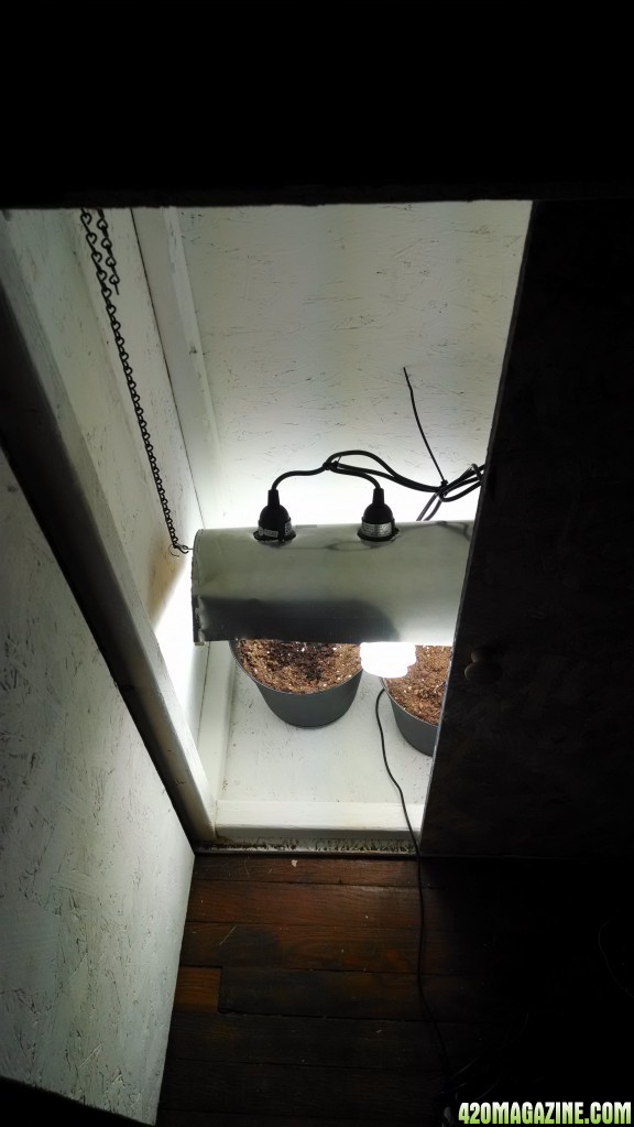 Grow Box