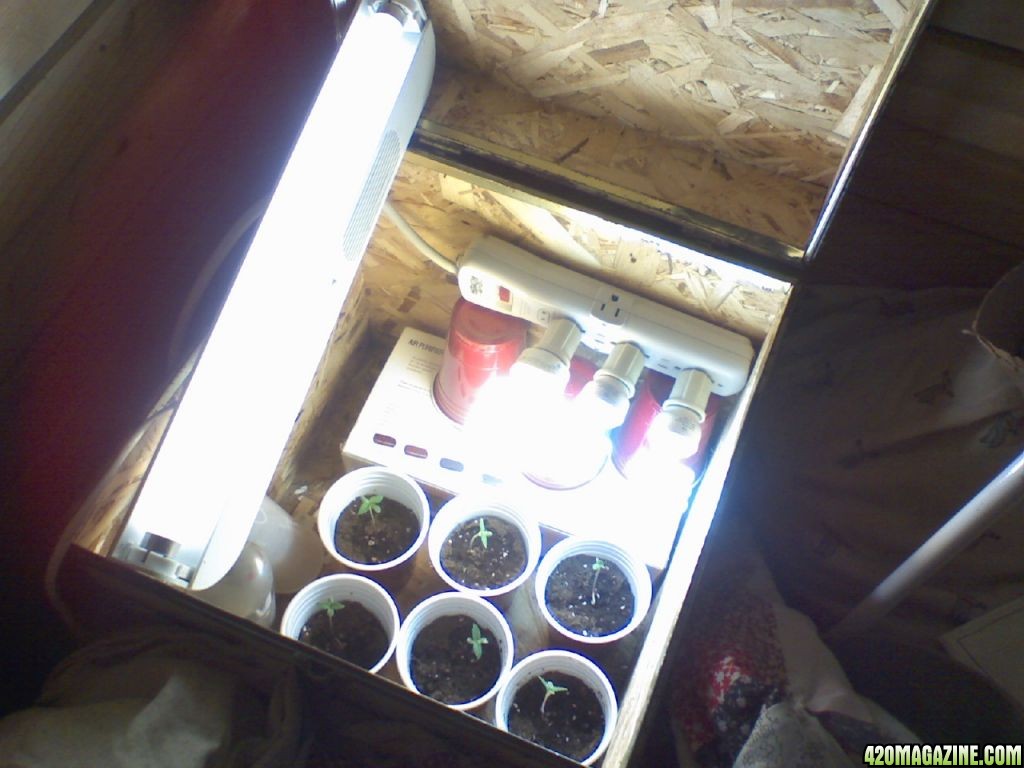 grow box