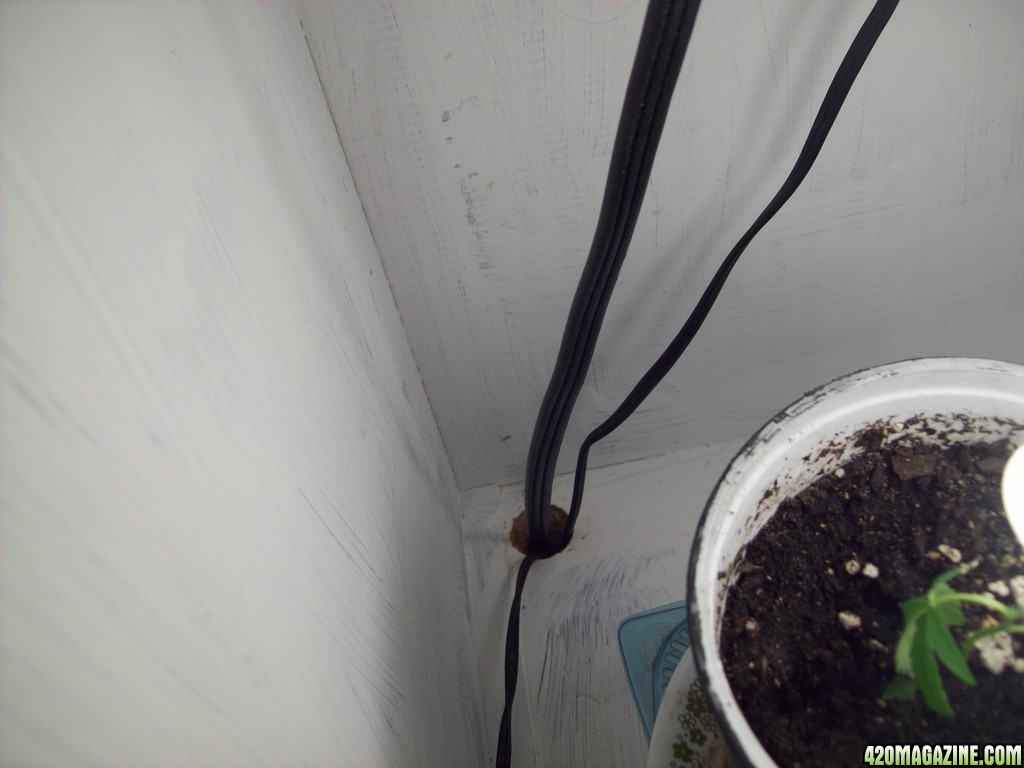 Grow cabinet ventilation update