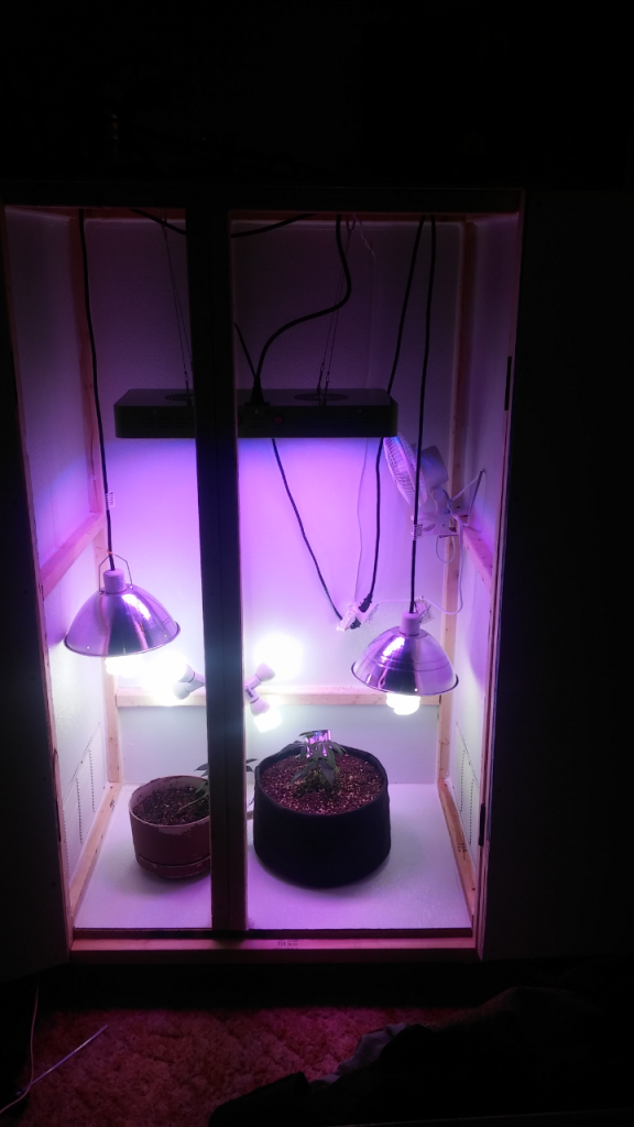 grow cabinet