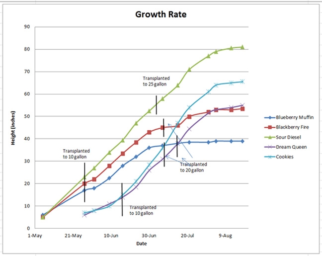 Grow Chart.jpg