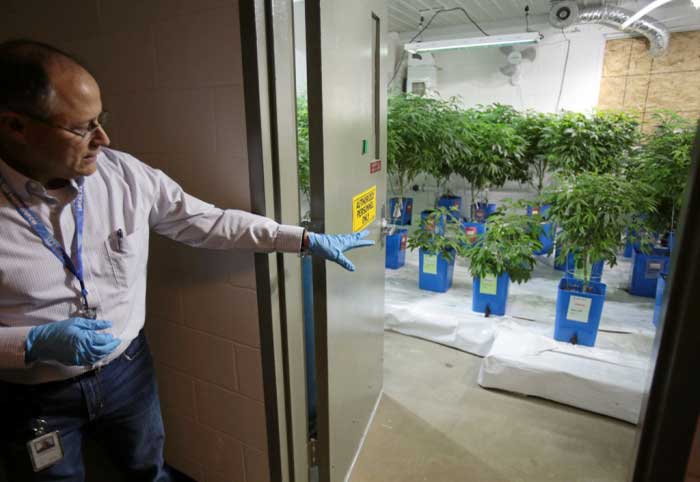 Grow Facility in New York - TheTimes-Tribune