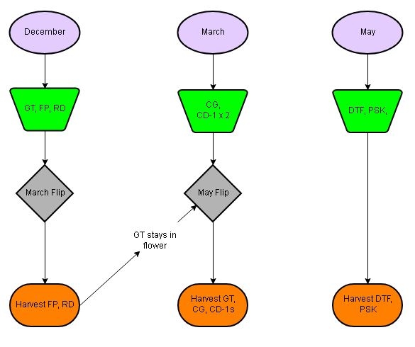 grow flowchart 2019-2020.JPG