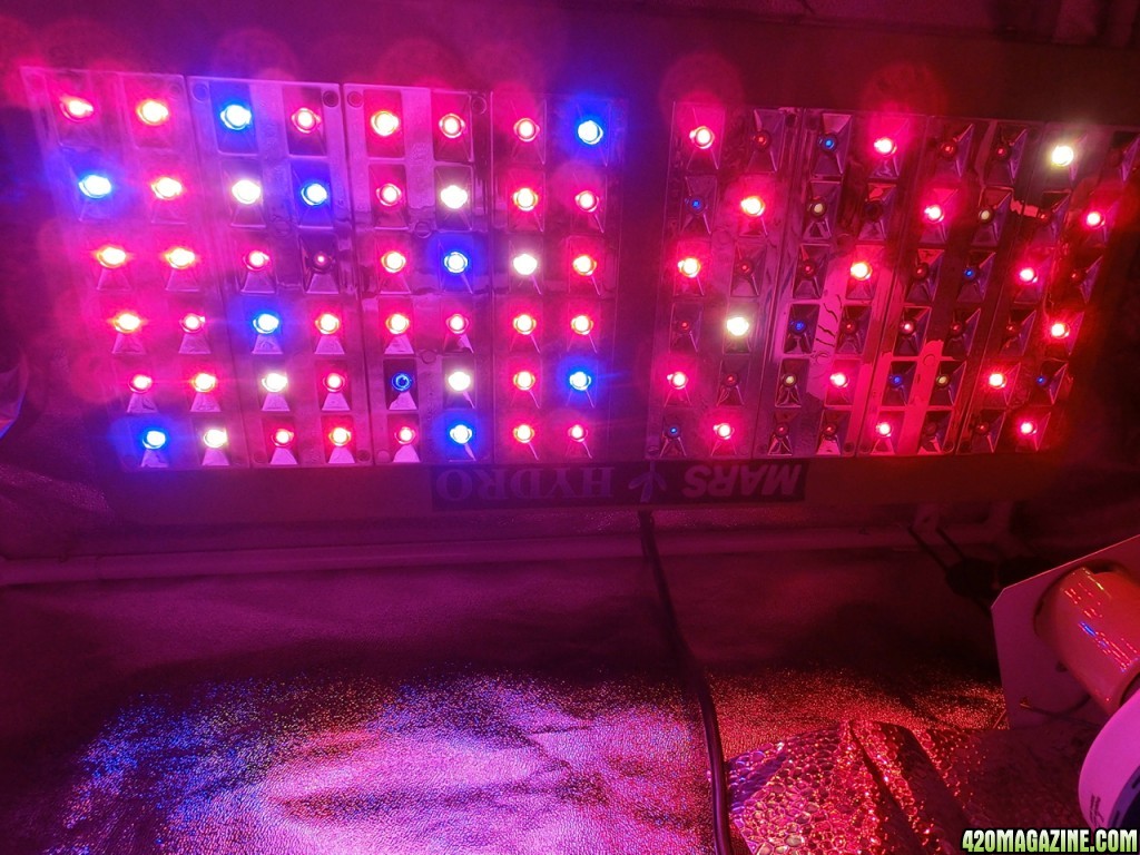 grow light