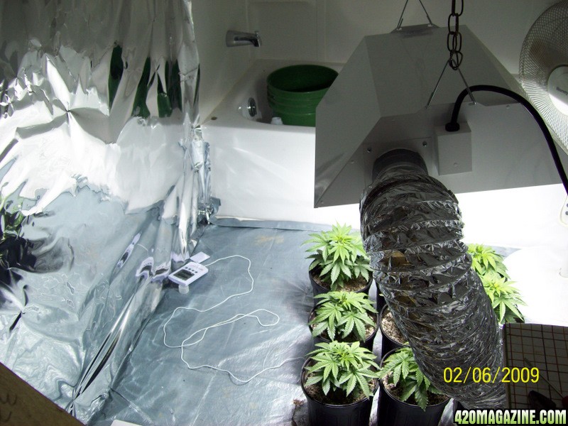 grow room (2)