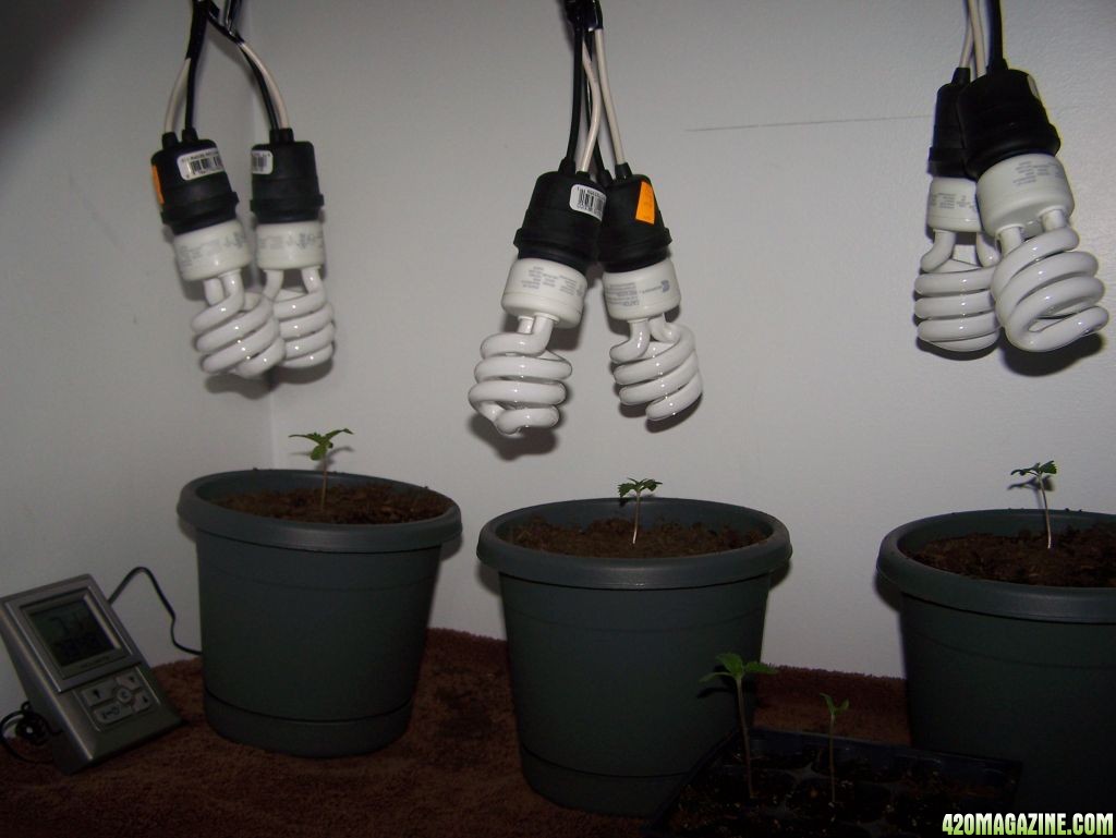 Grow Room 2