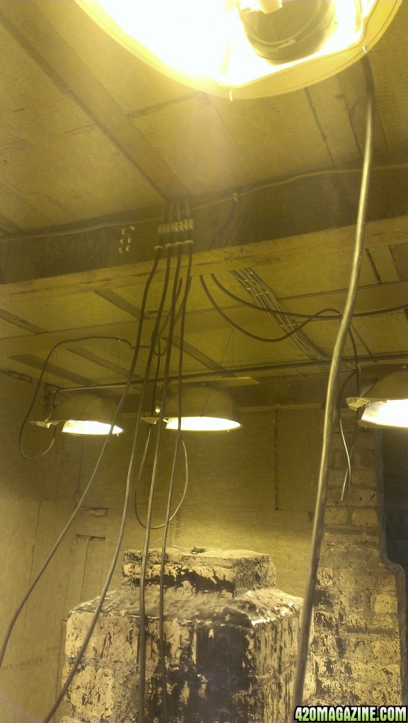 Grow room light wiring