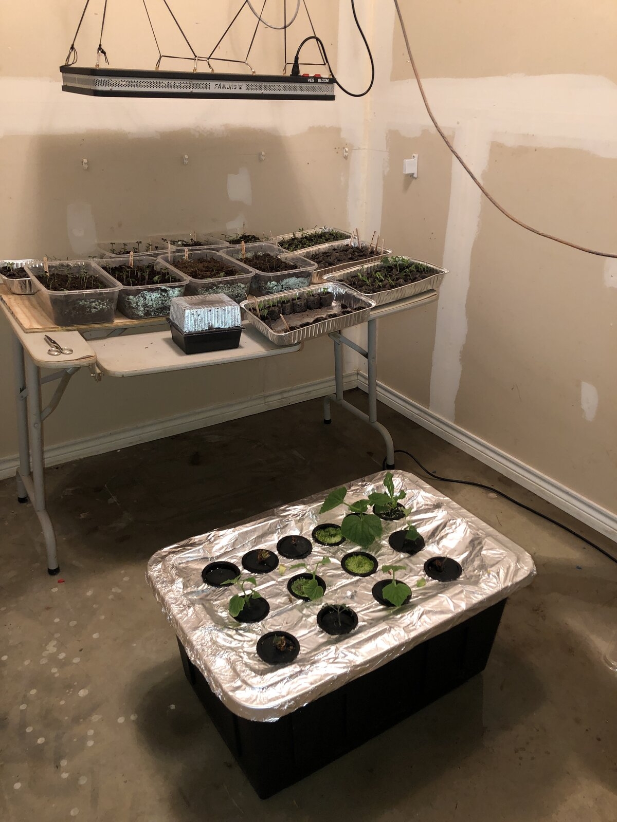 Grow room no light 003.jpg