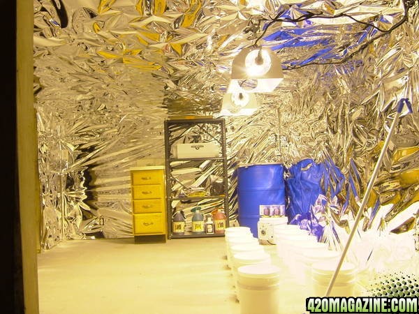 grow room pics