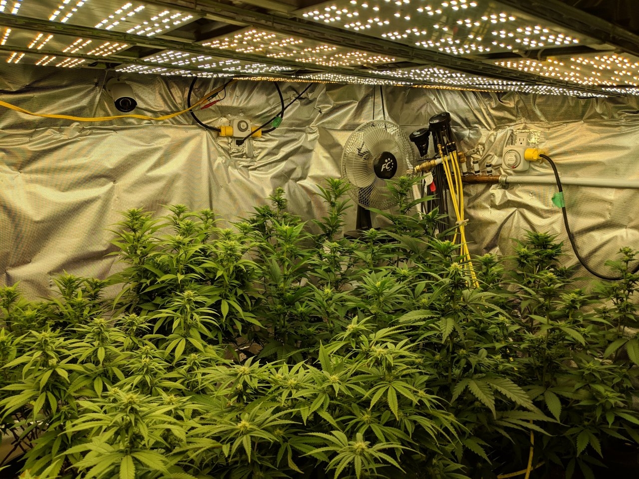 Grow room revision