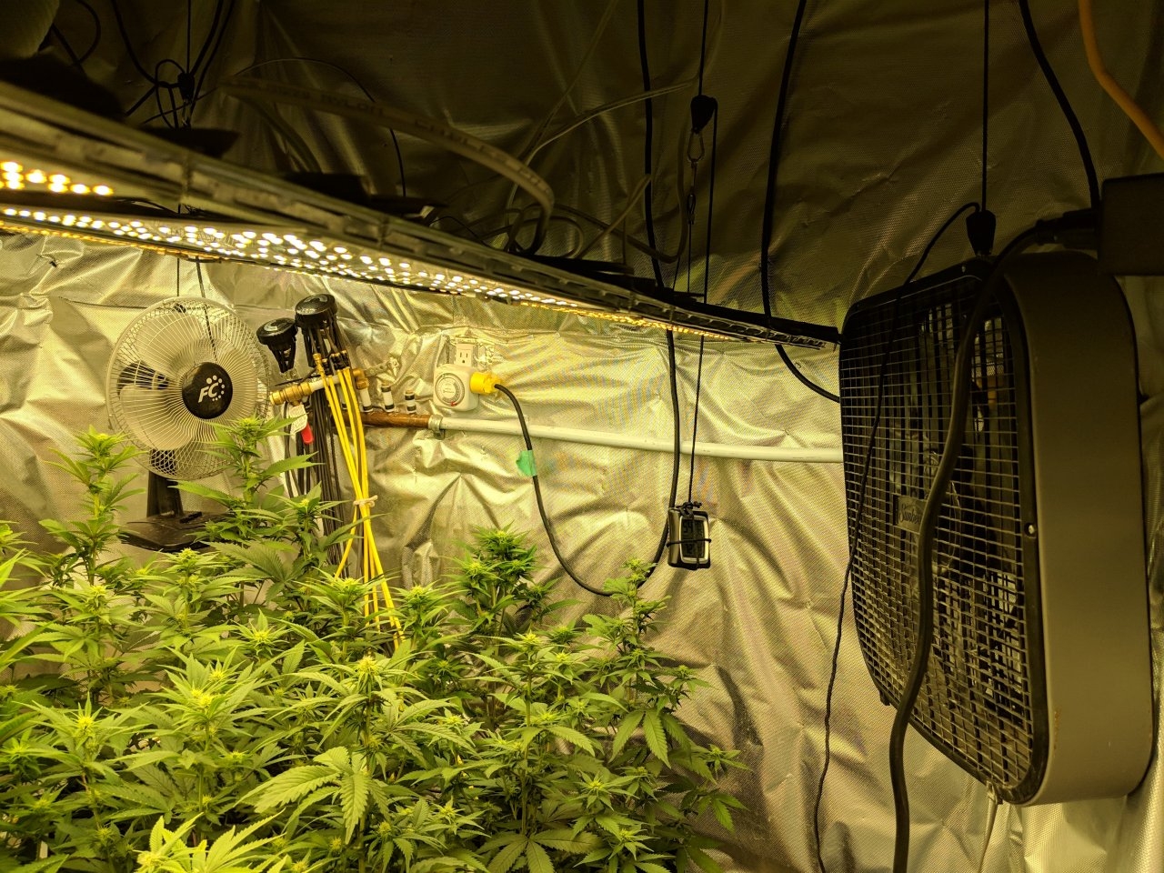 Grow room revision